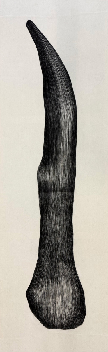 Forma (nie)oczywista I